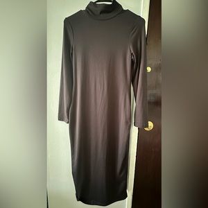 Black High turtle neck,long sleeve,back zipper dress